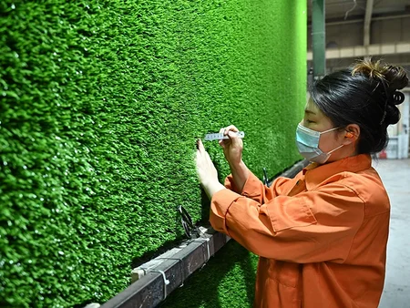 Finished Products Inspection