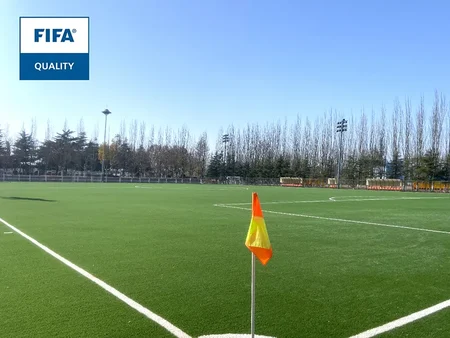 Shandong Luneng Taishan Football School Pitch B6 - FIFA Certificate