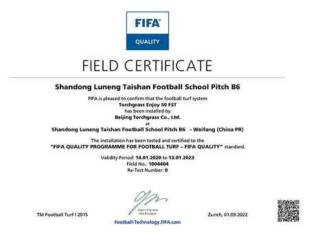 Shandong Luneng Taishan Football School Pitch B6 - FIFA Certificate
