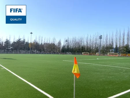Shandong Luneng Taishan Football School Pitch B6B6