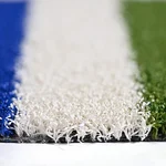 MS LSR MF D COLOER TXT