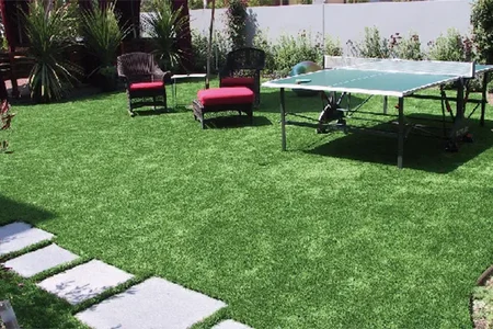 Related Case Studies