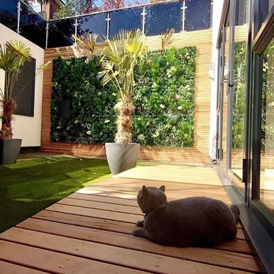 Artificial Green Wall